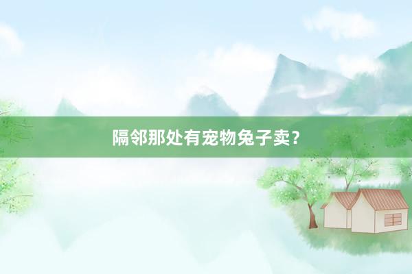 隔邻那处有宠物兔子卖?